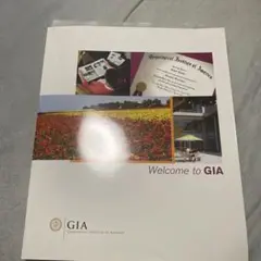 希少 GIA Japan 資料？