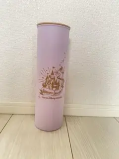 東京ディズニーリゾート ティッシュボックス