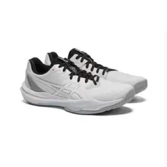 Item thumbnail for item d5524ed8-2306-4e9c-b072-81ead04263a4
