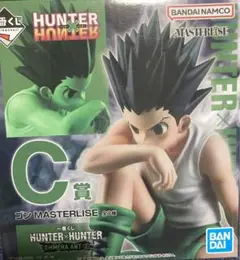 Item thumbnail for item dd48b306-9064-4249-aa00-6e90b26d23be