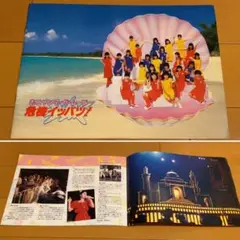 おニャン子・ザ・ムービー 危機イッパツ 映画パンフレット