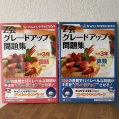 【新品未使用】Z会グレードアップ問題集小学3年算数文章題★国語読解　２冊セット