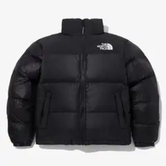 THE NORTH FACE ブラック ダウンジャケット 韓国規準