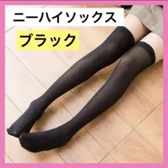 Item thumbnail for item f3338e4e-b650-415e-8595-4e73e9c494e7