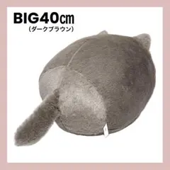 Item thumbnail for item 203bba20-ab52-4740-984b-791d7c74449f