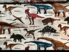 s✴︎様　専用