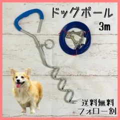ドッグポール u0026 ロングリードブルー セット ワイヤー 犬 リード 係留ステッキ