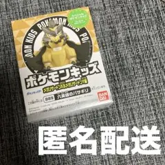 ポケモンキッズ メガリザードンX&メガリザードンY編 六英雄のバサギリ889