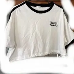 INGNI ショート丈Tシャツ Mサイズ