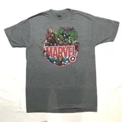 マーベル キャラクターズ TシャツL MARVEL グレーボディ アメコミ