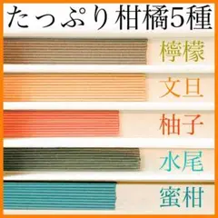 【お香・線香・インセンス】たっぷり柑橘5種セット(檸檬/文旦/柚子/水尾/蜜柑)