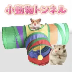 Item thumbnail for item 0c80ae3c-073b-41d0-9835-a11925b08590