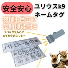 Item thumbnail for item 4297150d-41e7-481f-bfae-60cbb3b0fc42