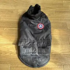 Item thumbnail for item 40958637-0033-4b3b-b45e-bdbd1a11f5ee