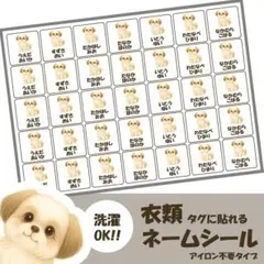 カット済【ノンアイロンネームシール】　シーズー　70枚