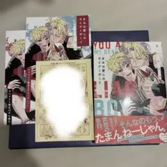 きみは愛しのライアーボーイ アニメイト小冊子、リーフレット付き
