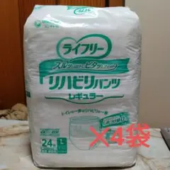 Item thumbnail for item aace2ad7-c00d-4148-8d83-b15d4455de71