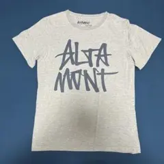 ALTAMONT グレー Tシャツ Lサイズ　スケートボード
