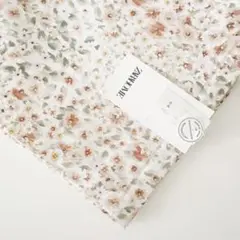 Item thumbnail for item 44d81501-0a06-45f9-8355-282291a8b238