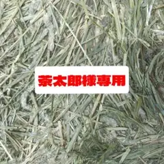 Item thumbnail for item 46581948-5843-4319-9540-a064557d7213