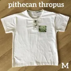 ピテカントロプス　バリ　Tシャツ　ボタン付き　半袖　白