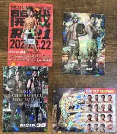 RIZIN ポテトスティック