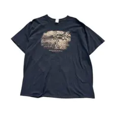 7TSM2 ダイナソーワールド　テーマパークTシャツ　フロリダ　古着