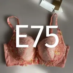 Item thumbnail for item b84edc57-ccf5-4271-8ac8-d67b9bcb1b61