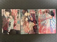 【完結】結婚寸前で捨てられたら社長の溺愛がはじまりました1〜3