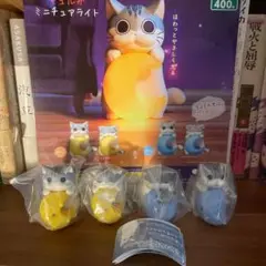 夜は猫といっしょ　キュルガミニチュアライト、全4種　コンプリートセット