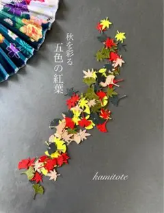 【新作】秋を彩る5色の紅葉セット100枚