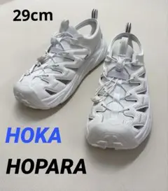 Item thumbnail for item fcbc732d-23f0-4870-bea0-da32fe8cfe03