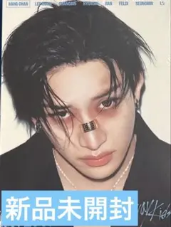 StrayKids スキズ KARMA Accordion ver バンチャン
