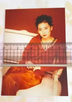 中山美穂 L判写真 No.169