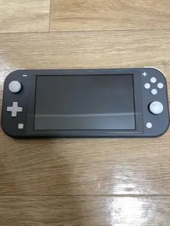 Nintendo Switch Lite グレー 本体