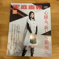 家庭画報 2024年版 上戸彩特集