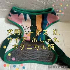 Item thumbnail for item c14b7c31-d9a7-446b-9224-e0613c16ac58