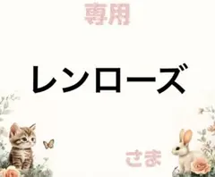 専用