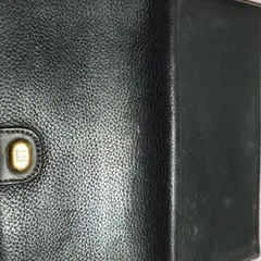 Item thumbnail for item a12a34c4-accc-42e0-8d95-c4bb568dd97e