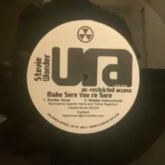 Stevie Wonder – Make Sure You’re Sure