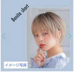 【美品】AQUA DOLL ウィッグショート