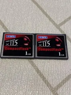 I-O DATA CompactFlash 1GB 高速115 2枚セット