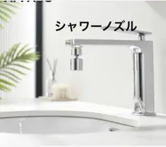 Item thumbnail for item 7f123750-54a6-4551-95df-92dfee4b40b3