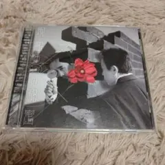平沢進 現象の花の秘密 CD