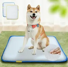 Item thumbnail for item b33893a2-0864-457e-92db-e0fe3d87c00b