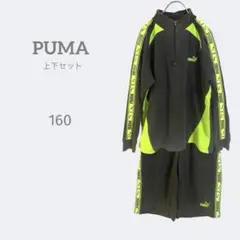 2540プーマ【160】ジャージ上下セット　コットン　洗える　サイド蛍光ロゴ