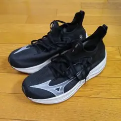 mizuno neo vista ミズノ ネオ ビスタ 27.5