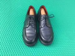 Item thumbnail for item 18c30d54-83ee-42c5-8af8-b1a482f4f504