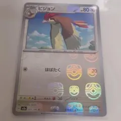 ポストカード　ピジョン　ミラー　マスターボール