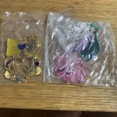 セーラービーナスアクリルキーホルダーとセーラープルートアクリルスタンドのセット